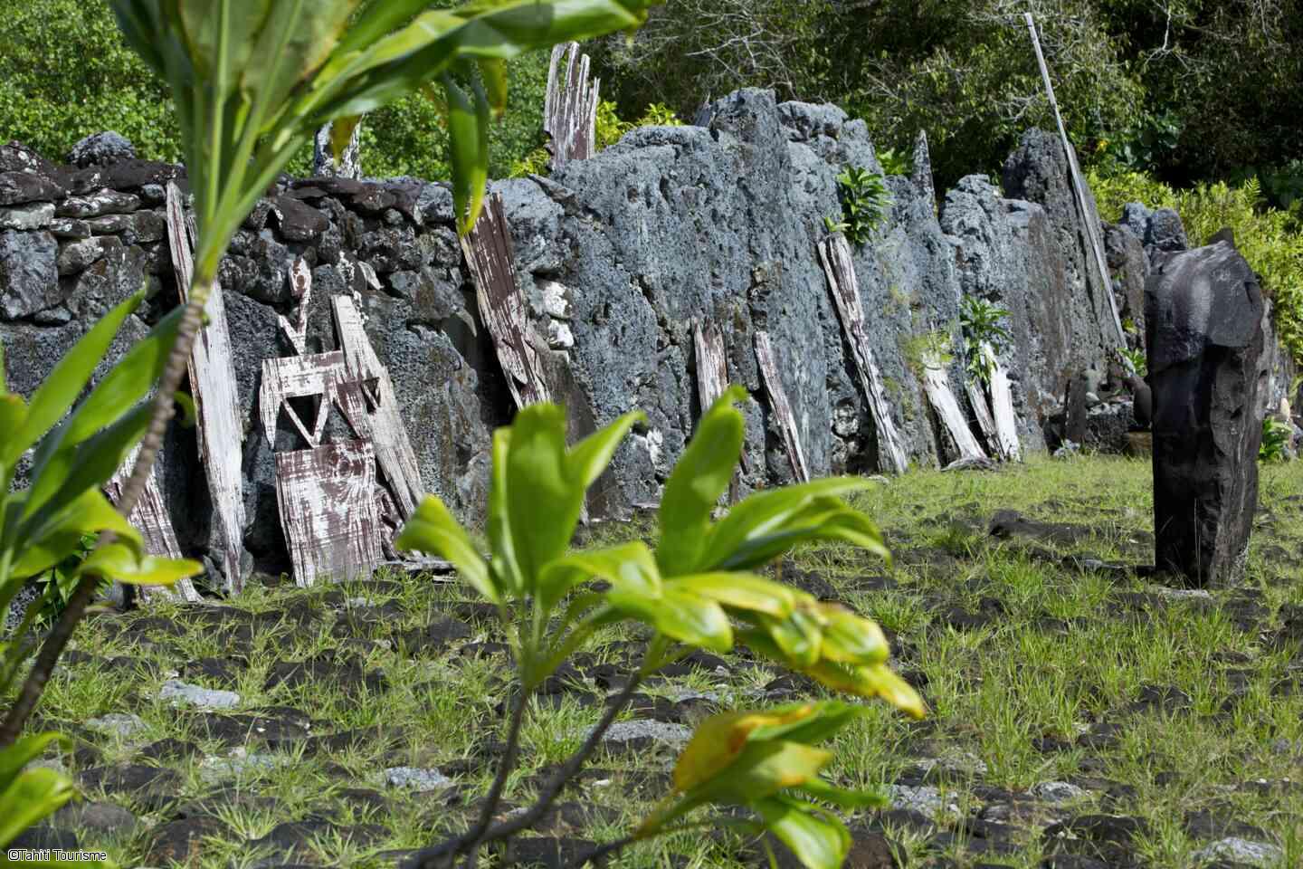 P2_12_RAIATEA_01610-1440x960.jpg