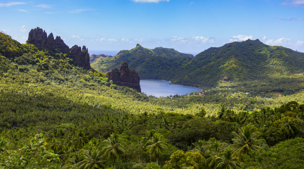 vegetation cruise in polynesia