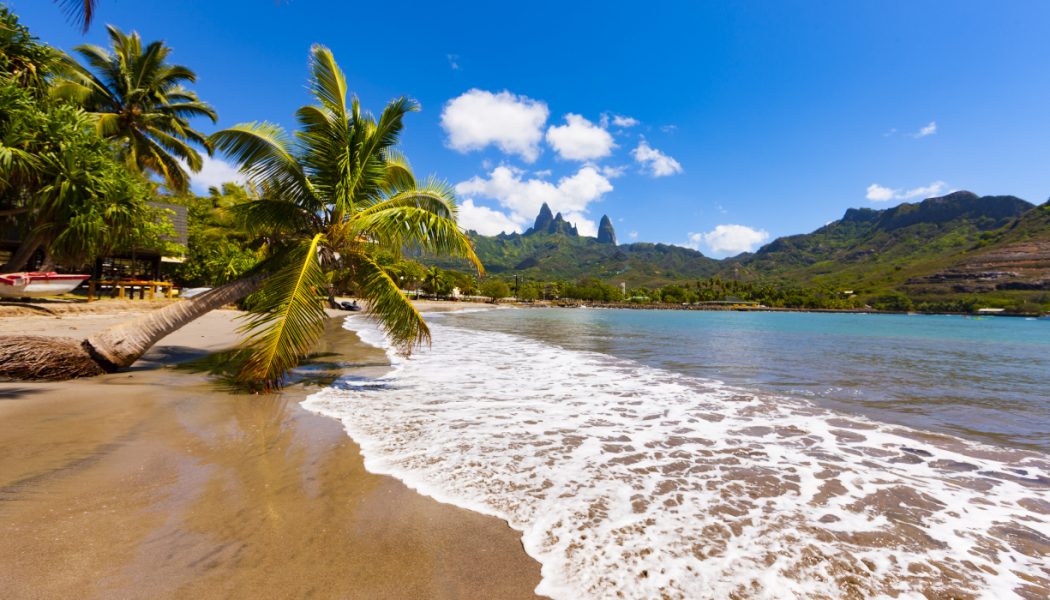 palm tree and sea Marquesas Islands