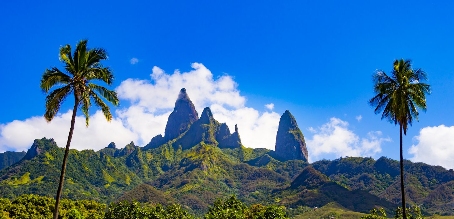 Mountain and palm trees cruise marquise islands