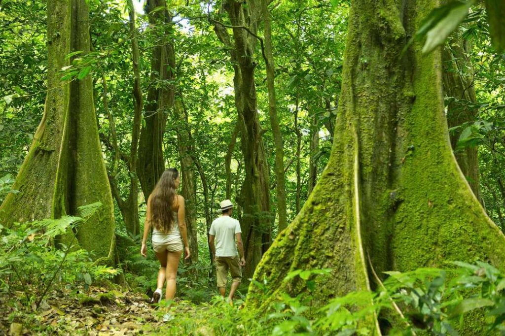 visiter moorea